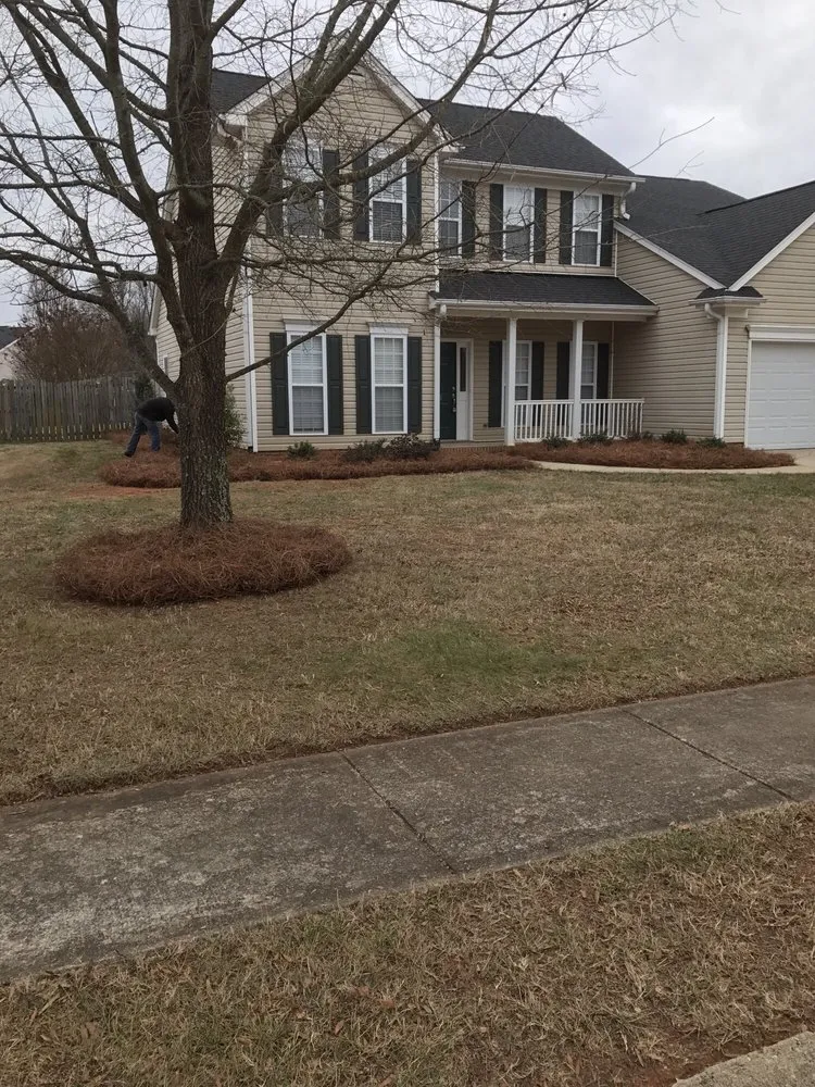 Trusted yard cleanup service experts serving Jamestown, NC - New Image Lawn Care