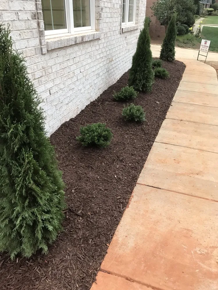 Trusted yard cleanup service for outdoor upgrades across Jamestown, NC - New Image Lawn Care