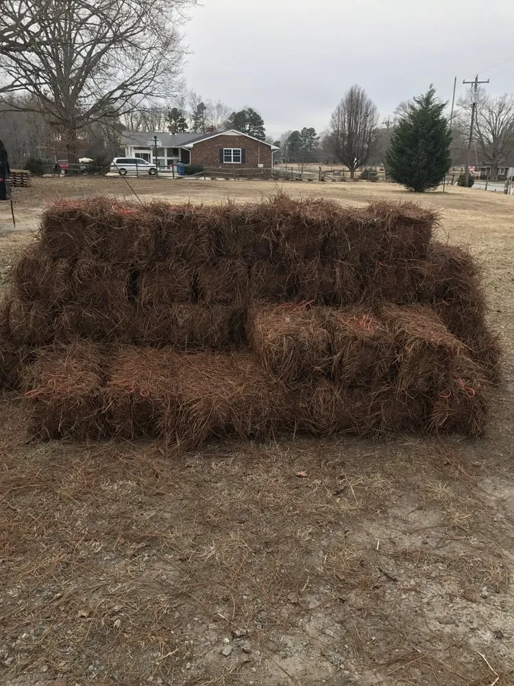 Top-rated garden landscaping for year-round maintenance across Jamestown, NC - New Image Lawn Care