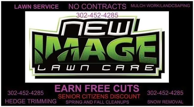 Trusted yard cleanup service in Wilmington, DE - NEW IMAGE LAWN CARE