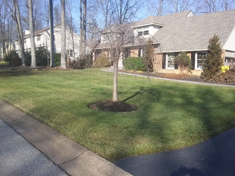 Local lawn mowing service in Wilmington, DE by NEW IMAGE LAWN CARE