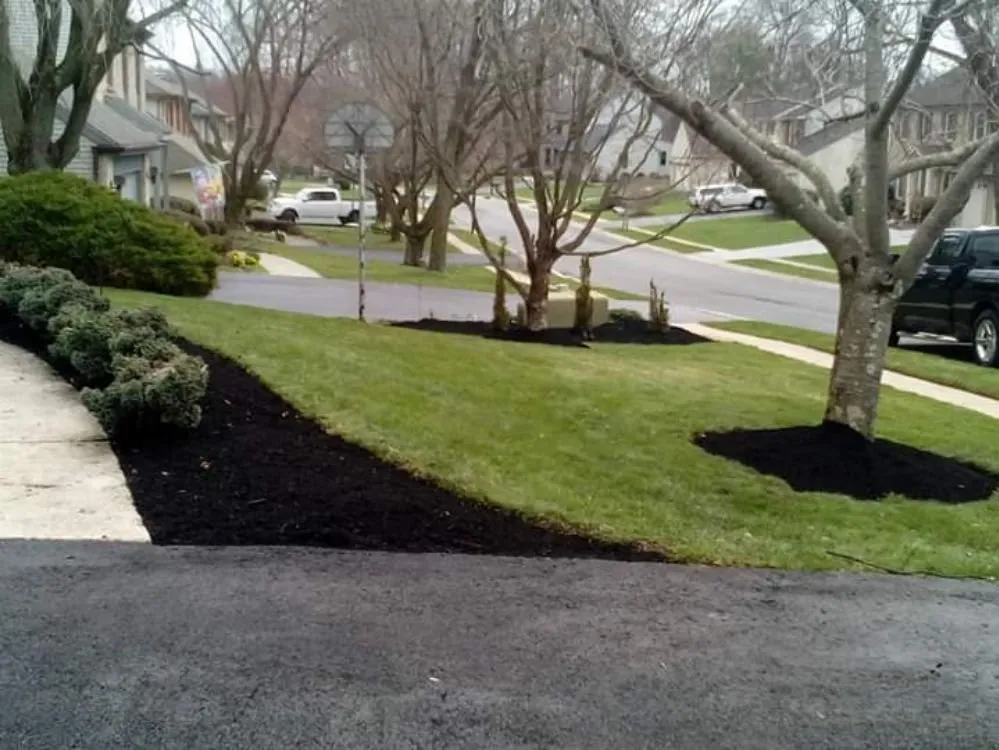 Custom lawn mowing service experts serving Wilmington, DE - NEW IMAGE LAWN CARE