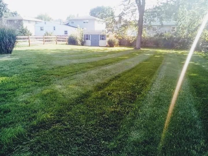 Custom landscape installation in Wilmington, DE - NEW IMAGE LAWN CARE