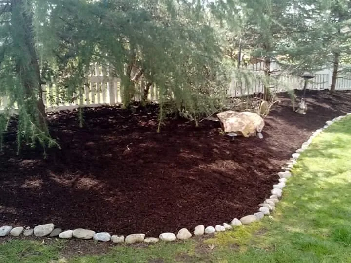 Reliable yard cleanup service for year-round maintenance in Wilmington, DE by NEW IMAGE LAWN CARE