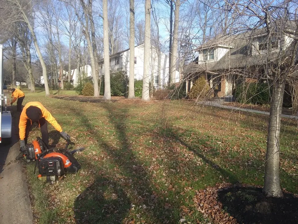Professional residential landscaping in Wilmington, DE - NEW IMAGE LAWN CARE