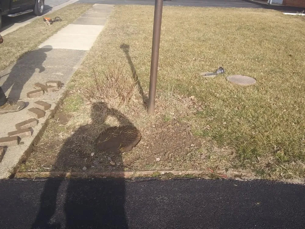 Affordable yard maintenance in Wilmington, DE - NEW IMAGE LAWN CARE