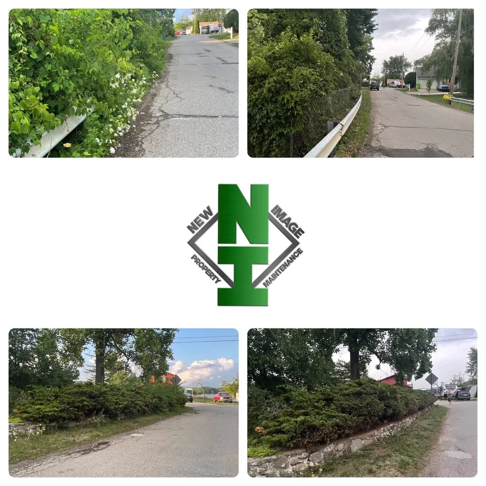 Top-rated garden landscaping for residential properties across Waterford, MI - New Image Property Maintenance