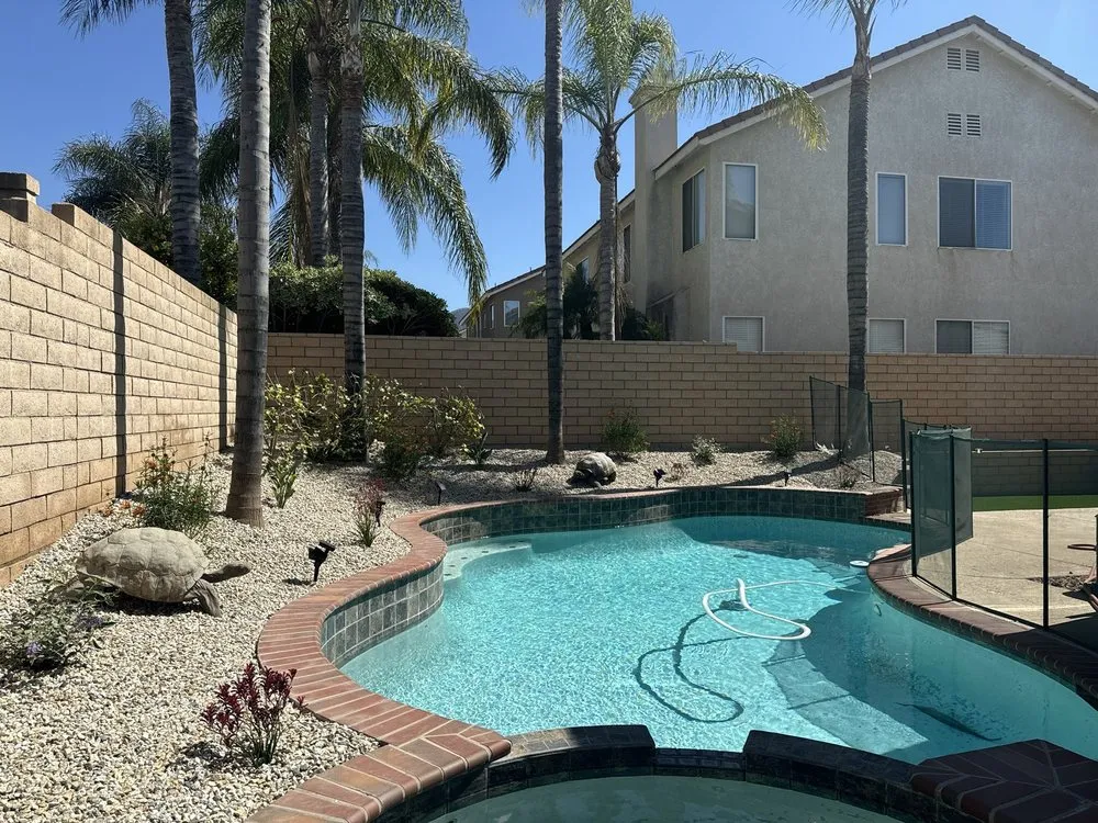 Professional yard cleanup service in Corona, CA - New Image Tree Care