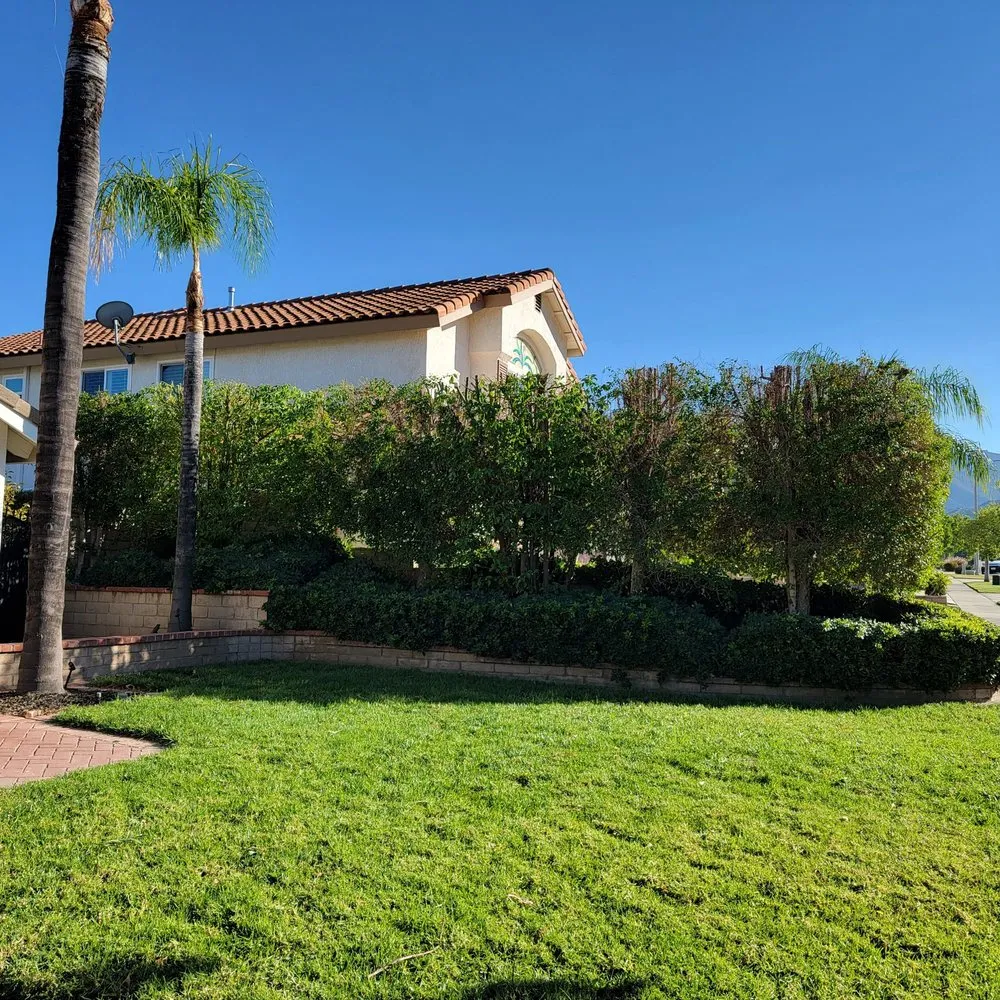 Professional garden landscaping in Corona, CA by New Image Tree Care