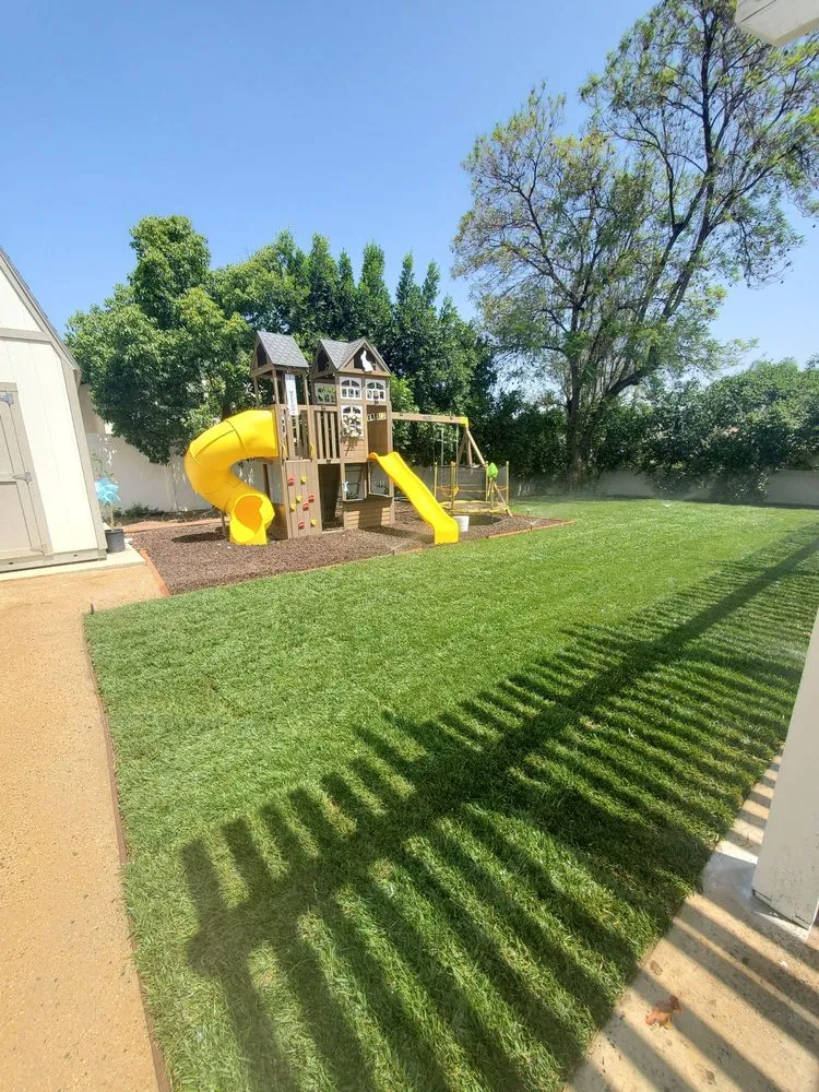 Trusted residential landscaping in Corona, CA by New Image Tree Care