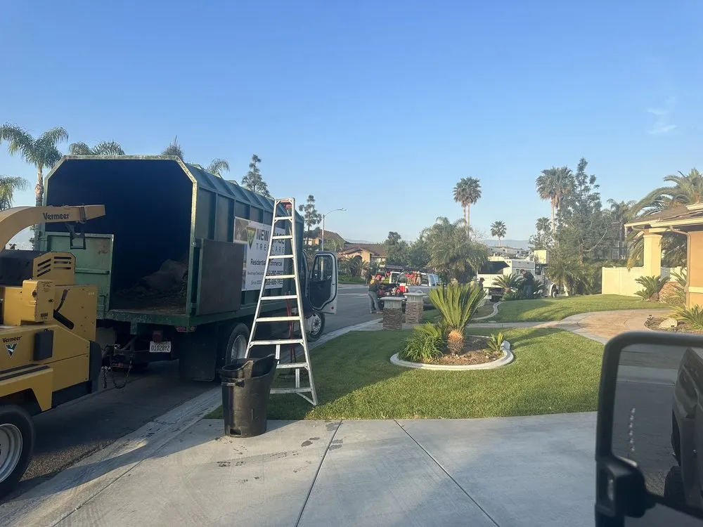 Professional lawn care service experts serving Corona, CA - New Image Tree Care