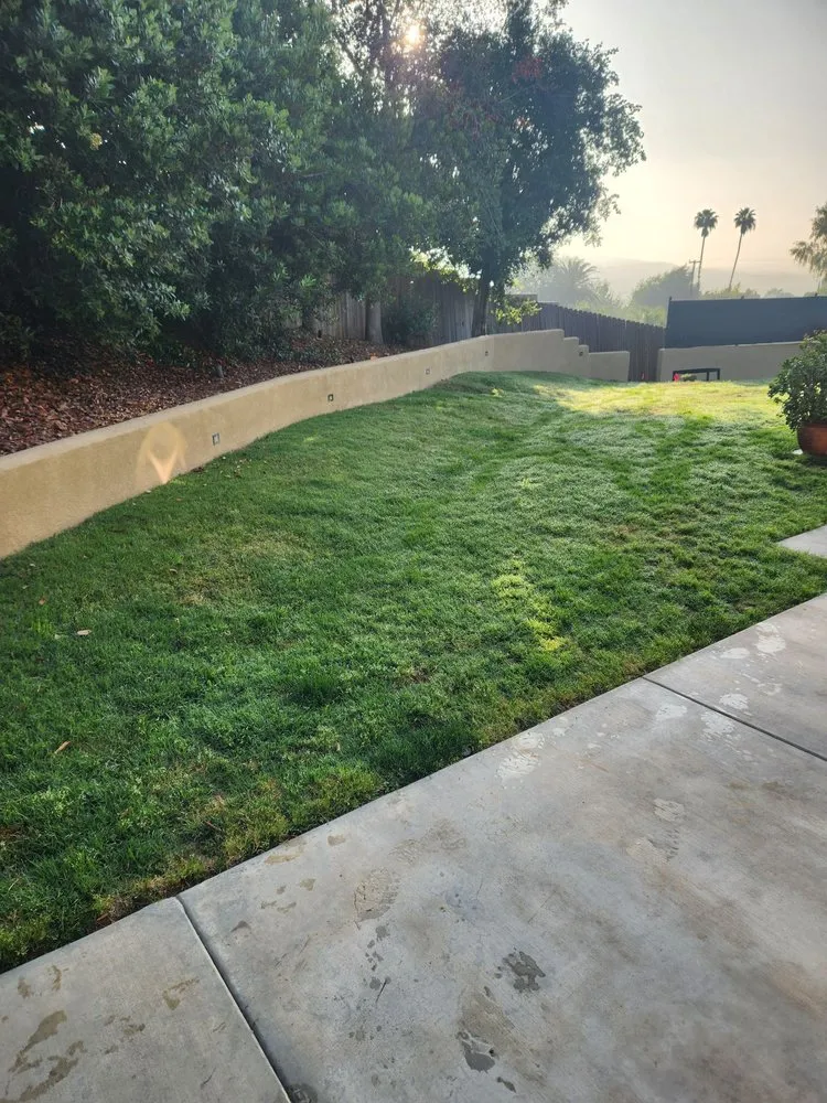 Custom lawn mowing service in Corona, CA by New Image Tree Care