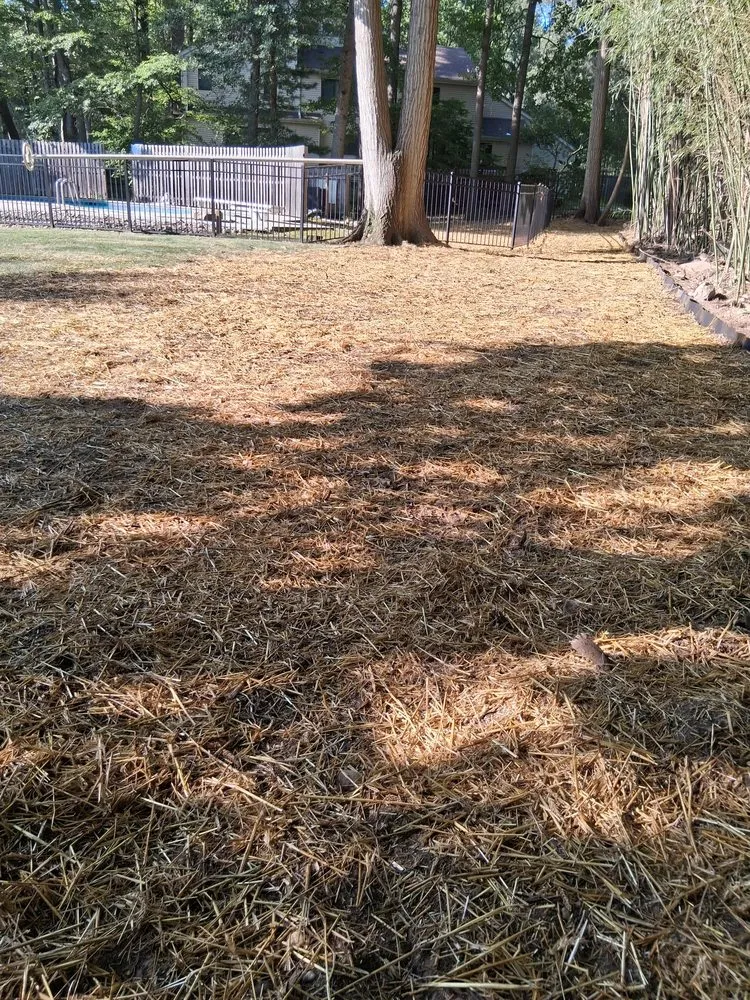 Expert lawn care service in Chester, NJ by New Jersey Bamboo Landscaping