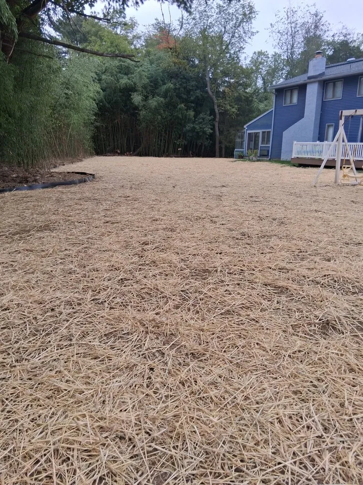 Top-rated yard cleanup service near you in Chester, NJ by New Jersey Bamboo Landscaping