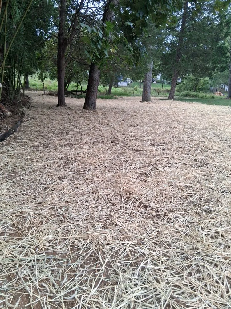 Affordable yard cleanup service for outdoor upgrades across Chester, NJ - New Jersey Bamboo Landscaping