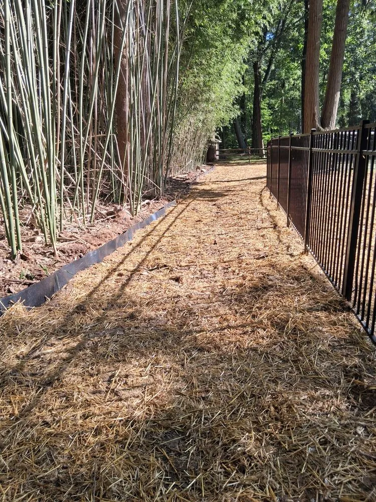 Affordable outdoor landscaping in Chester, NJ by New Jersey Bamboo Landscaping