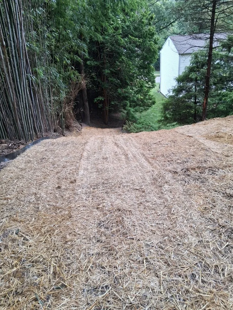 Affordable yard cleanup service experts serving Chester, NJ - New Jersey Bamboo Landscaping