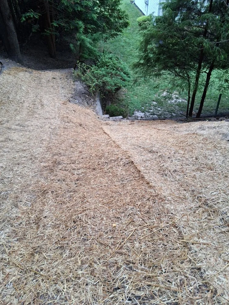 Local landscape installation in Chester, NJ by New Jersey Bamboo Landscaping