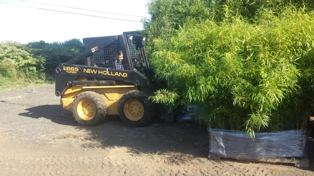 Custom lawn mowing service experts serving Chester, NJ - New Jersey Bamboo Landscaping