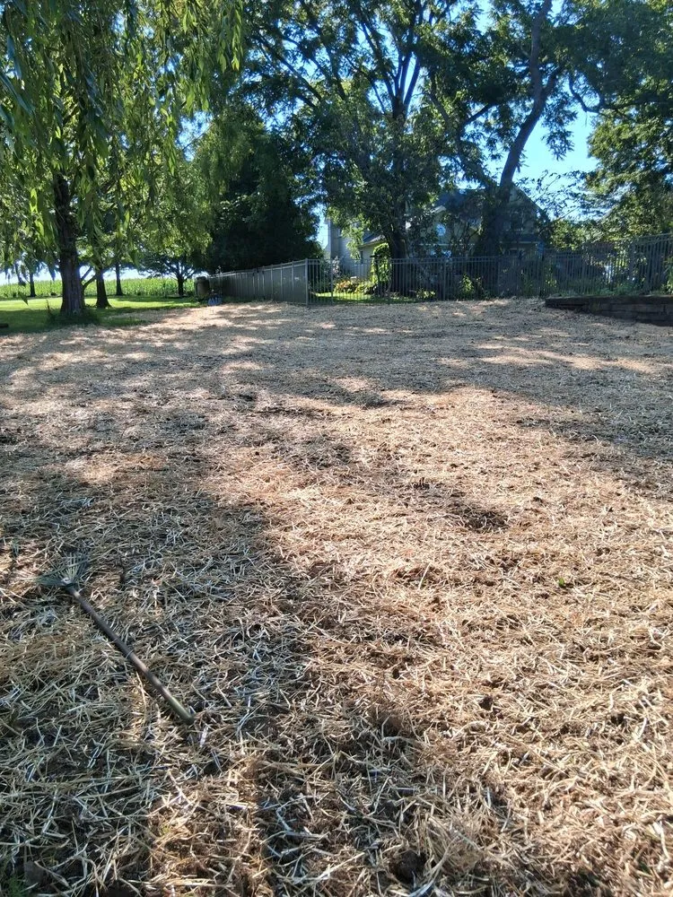 Reliable landscaping services in Chester, NJ - New Jersey Bamboo Landscaping