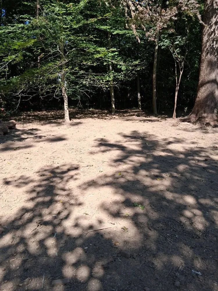 Expert landscaping services in Chester, NJ - New Jersey Bamboo Landscaping