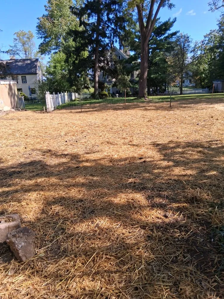 Expert landscape design experts serving Chester, NJ - New Jersey Bamboo Landscaping