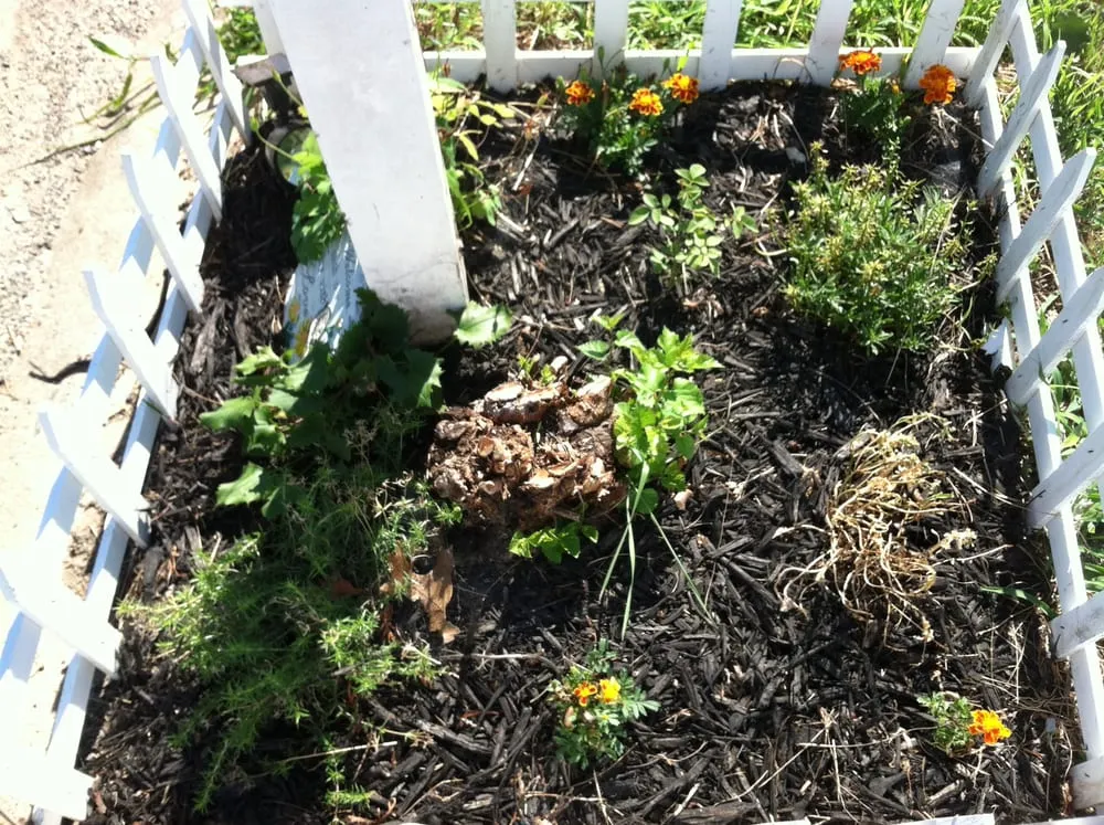 Top-rated lawn mowing service for year-round maintenance in Lakewood, NJ by New Jersey Best Lawns, Sprinklers & Fencing