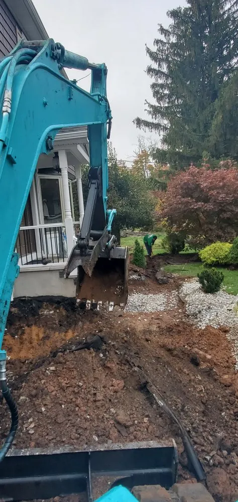 Professional lawn care service experts serving Bound Brook, NJ - New Jersey Tree Expert