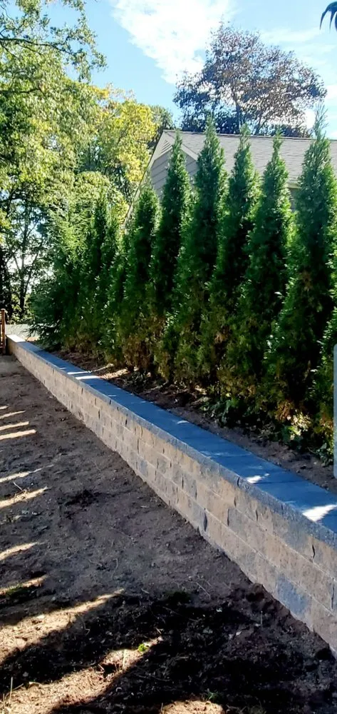 Affordable yard cleanup service for homes in Bound Brook, NJ by New Jersey Tree Expert