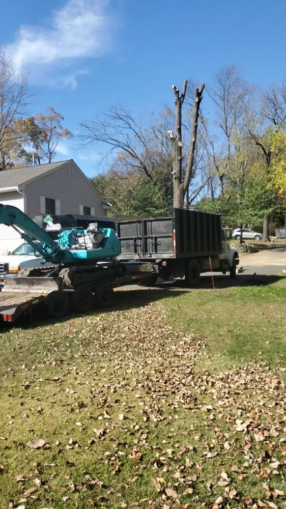 Affordable landscape design for year-round maintenance in Bound Brook, NJ by New Jersey Tree Expert