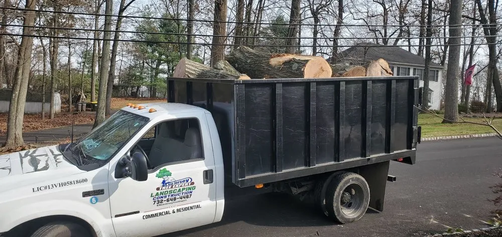 Top-rated yard cleanup service for outdoor upgrades in Bound Brook, NJ by New Jersey Tree Expert