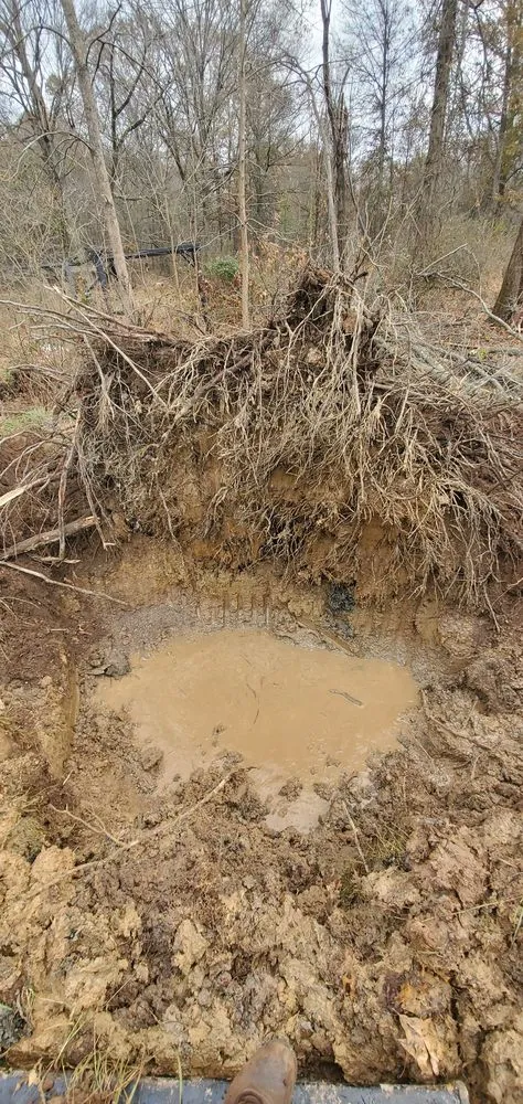 Reliable yard maintenance experts serving Bound Brook, NJ - New Jersey Tree Expert