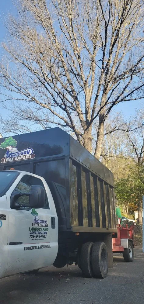 Expert yard maintenance in Bound Brook, NJ by New Jersey Tree Expert