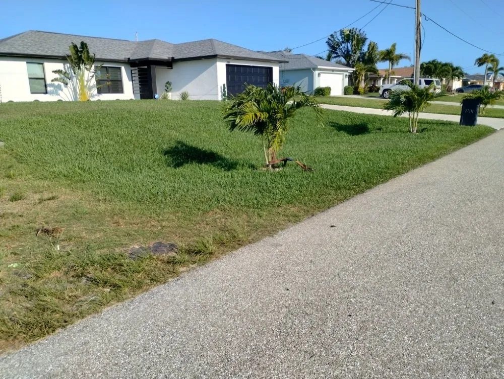 Local yard maintenance for year-round maintenance across Fort Myers, FL - New Land Pest Control