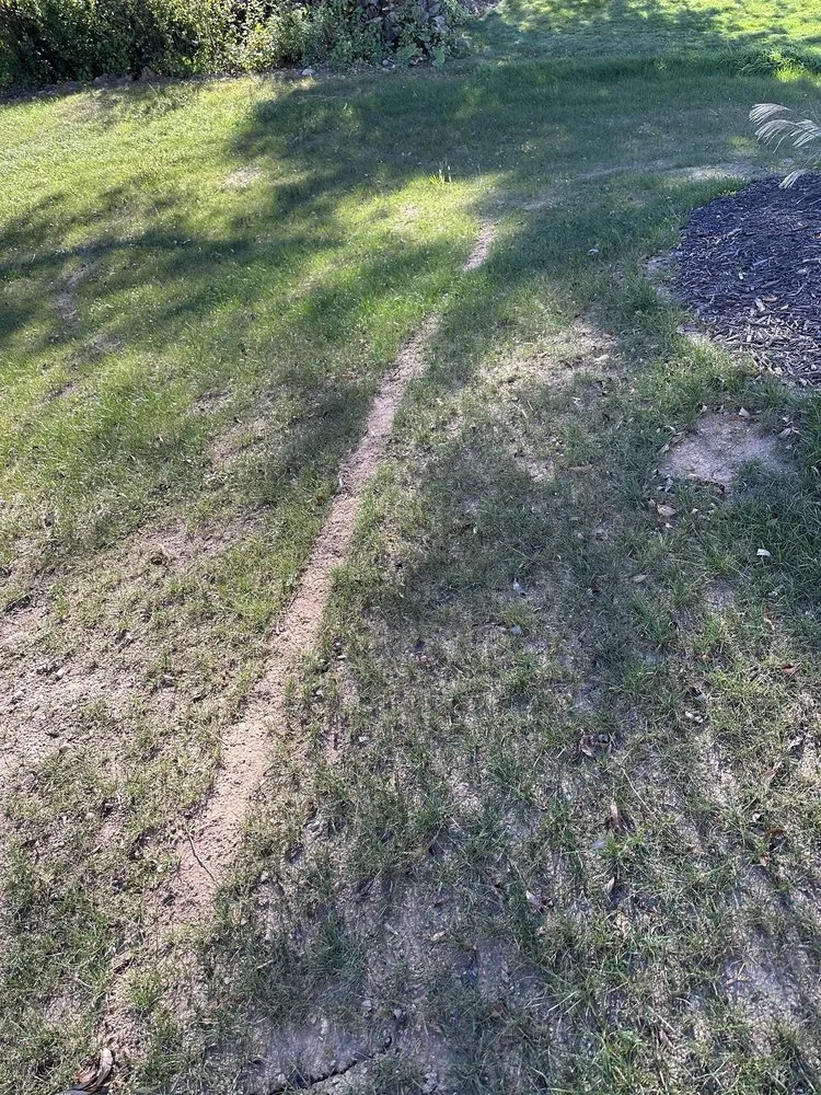 Reliable yard cleanup service in Suamico, WI - NEW Landscape & Lawn Care