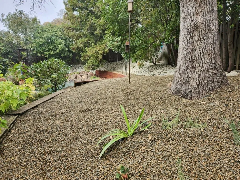 Local outdoor landscaping with custom design in Rancho Cordova, CA by New Landscape & Tree Care