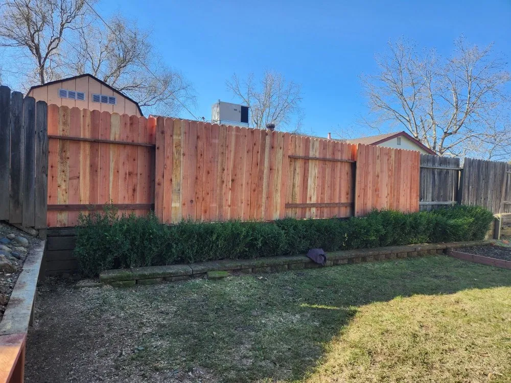 Trusted yard cleanup service experts serving Rancho Cordova, CA - New Landscape & Tree Care