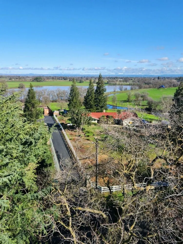 Local landscaping services in Rancho Cordova, CA - New Landscape & Tree Care