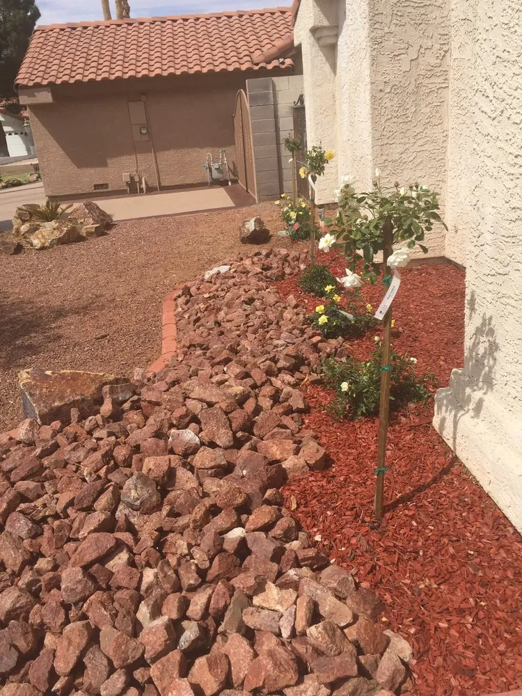 Expert yard maintenance in Las Vegas, NV by New Landscape