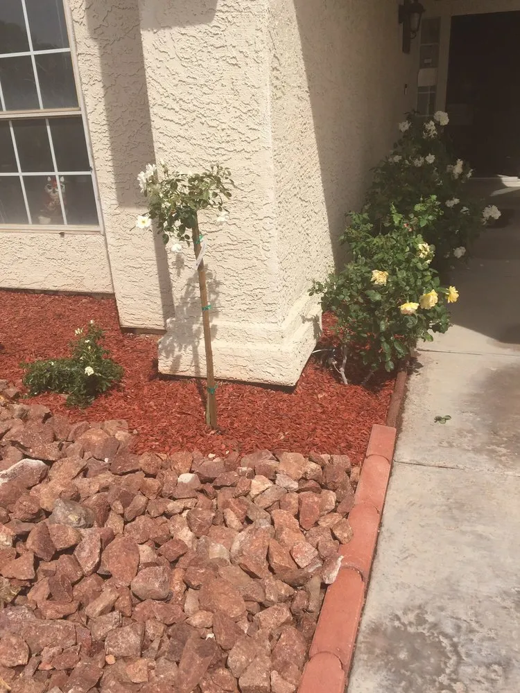 Custom landscape installation for beautiful yards in Las Vegas, NV by New Landscape