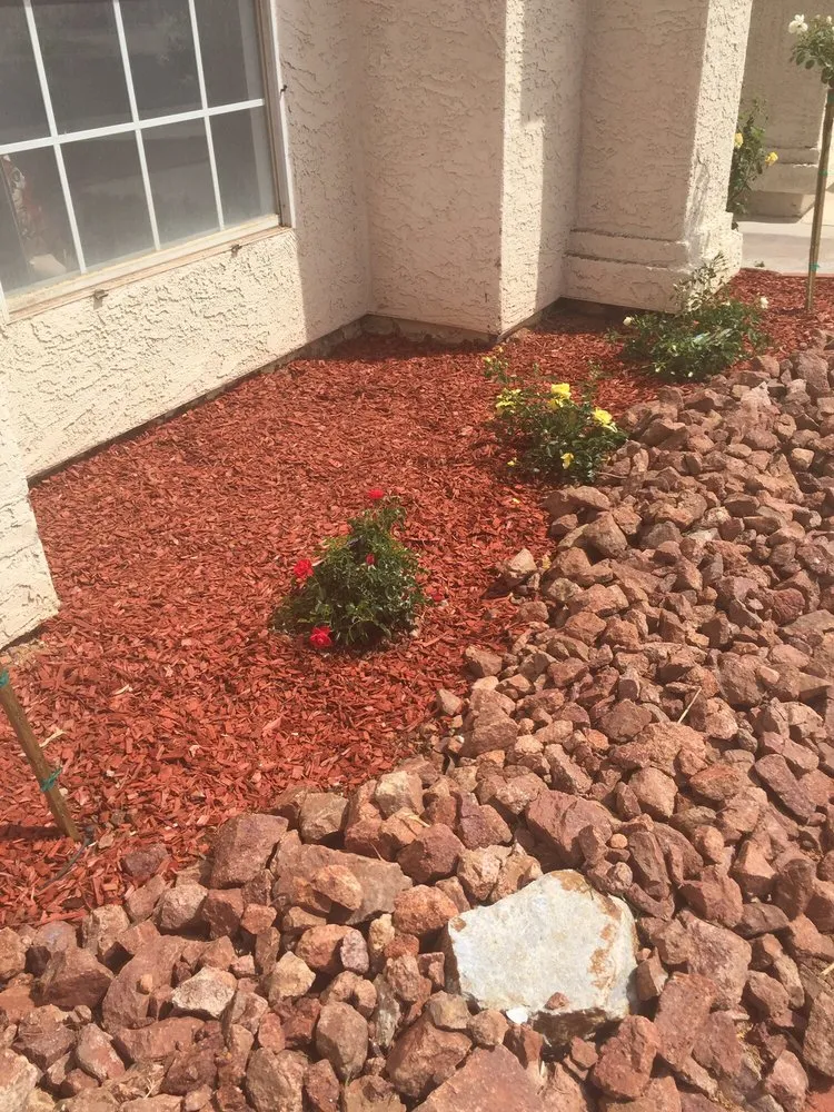 Affordable landscaping services in Las Vegas, NV by New Landscape
