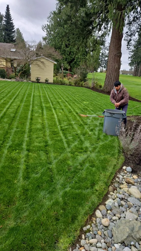 Expert lawn care service for residential properties across Sedro-Woolley, WA - New Landscape