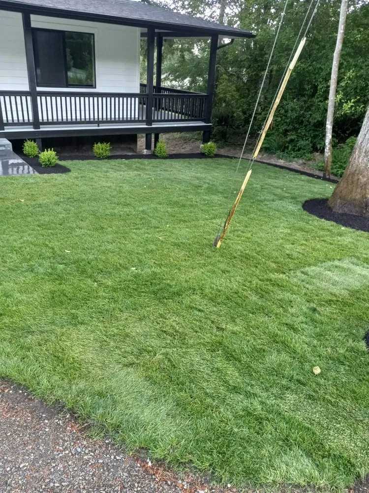 Expert lawn care service in Sedro-Woolley, WA - New Landscape