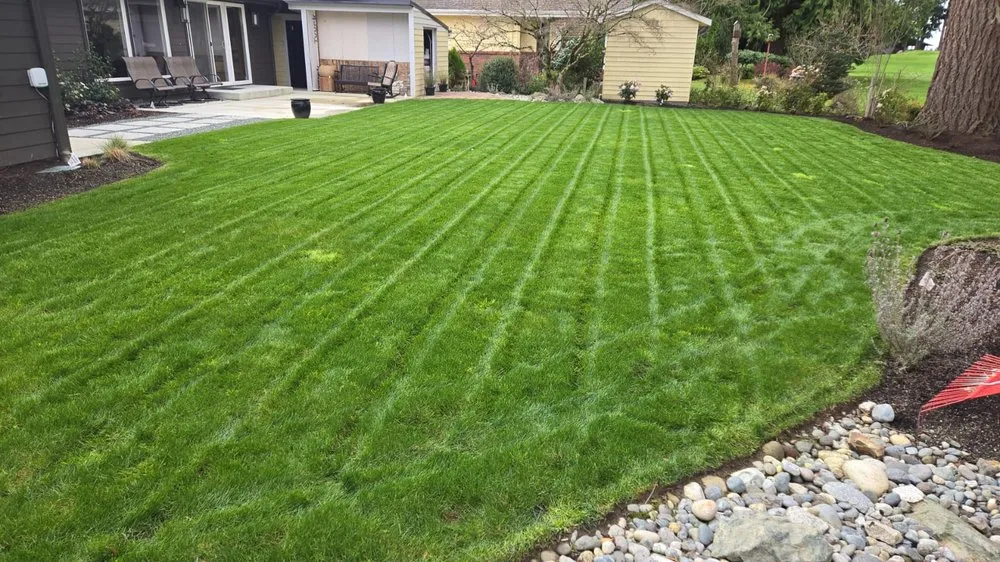 Reliable lawn care service in Sedro-Woolley, WA - New Landscape