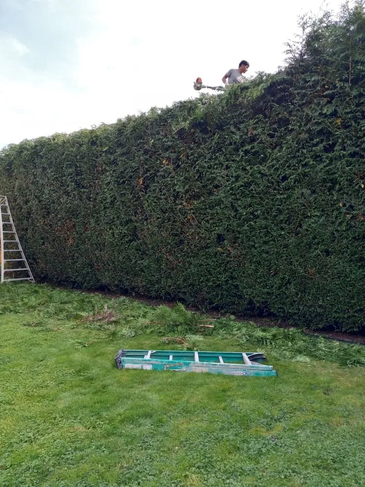 Expert landscape installation for year-round maintenance in Sedro-Woolley, WA by New Landscape