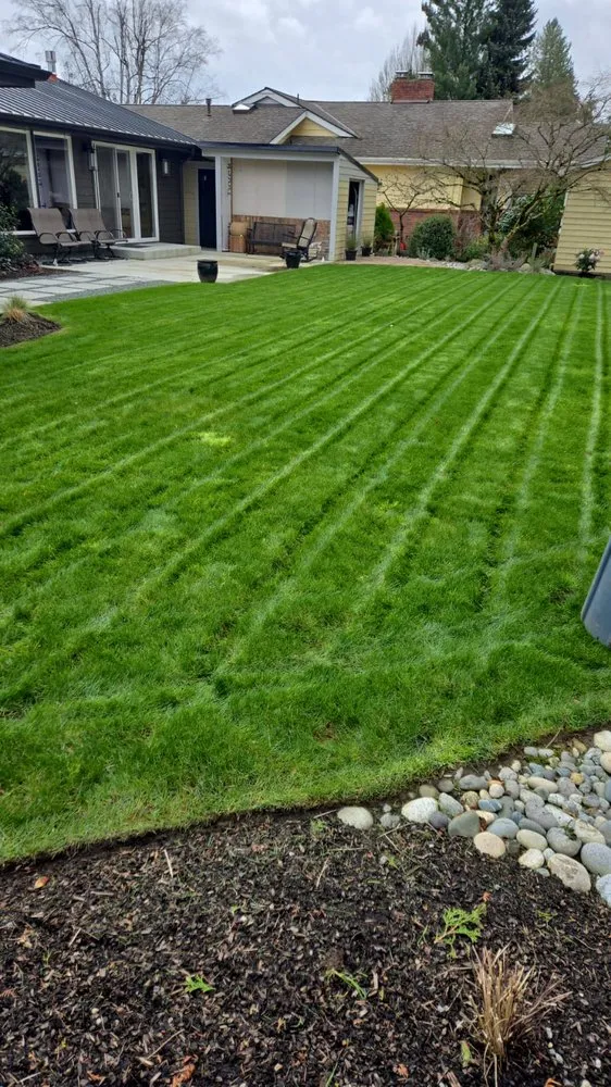 Trusted yard maintenance experts serving Sedro-Woolley, WA - New Landscape