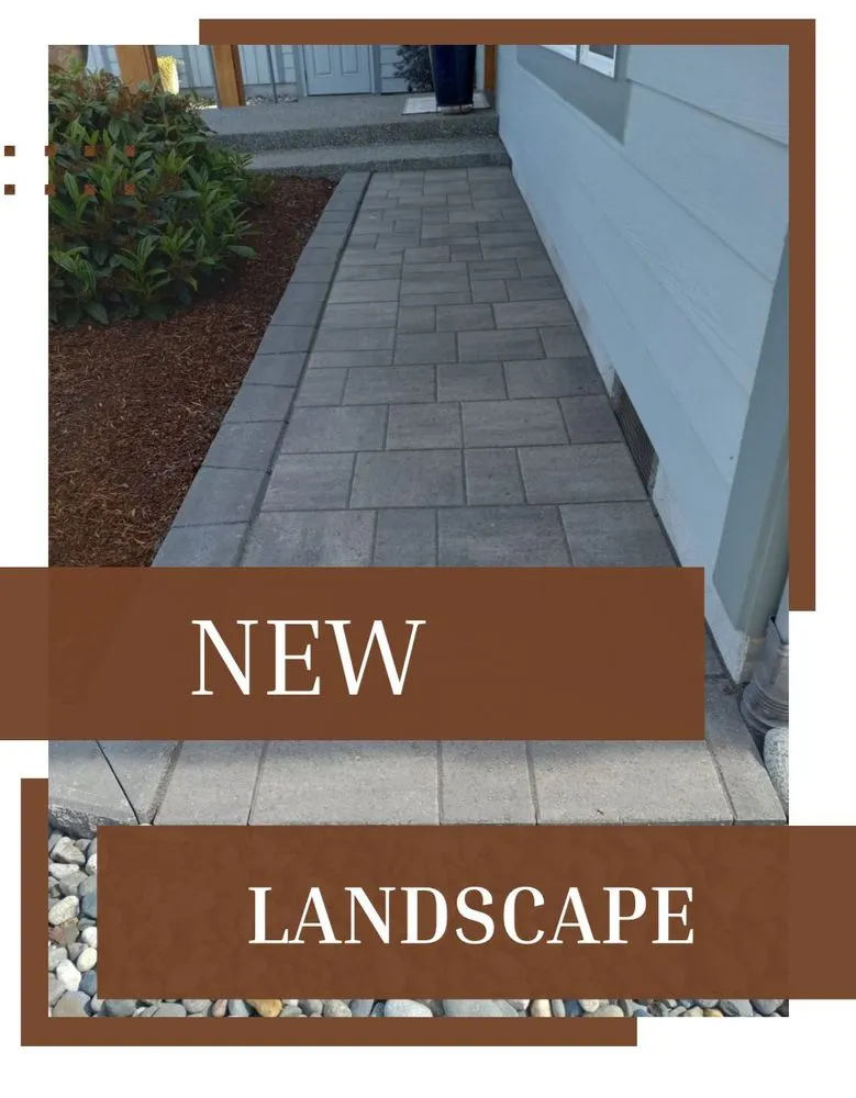Top-rated yard cleanup service in Sedro-Woolley, WA - New Landscape