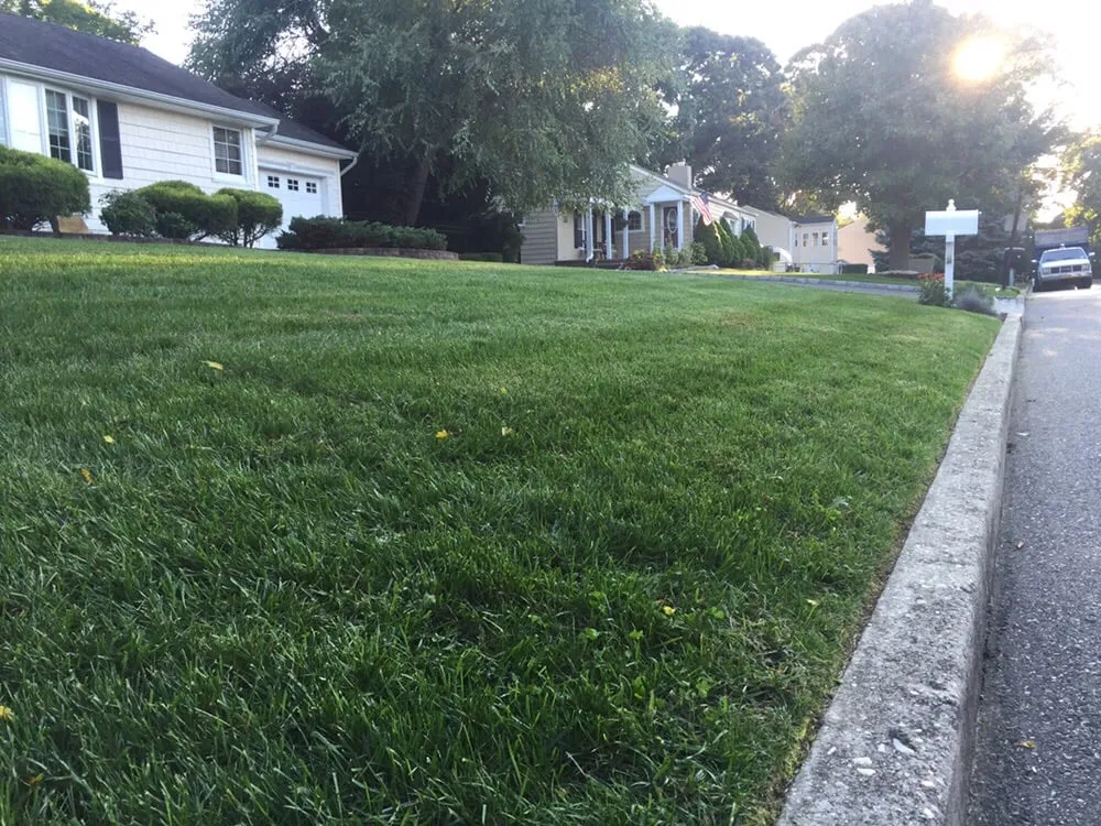 Trusted yard maintenance in Smithtown, NY by NEW Landscapes
