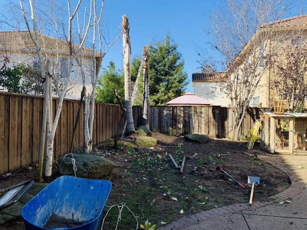 Local yard cleanup service experts serving Burlington, WA - New Lawn Care & Landscape