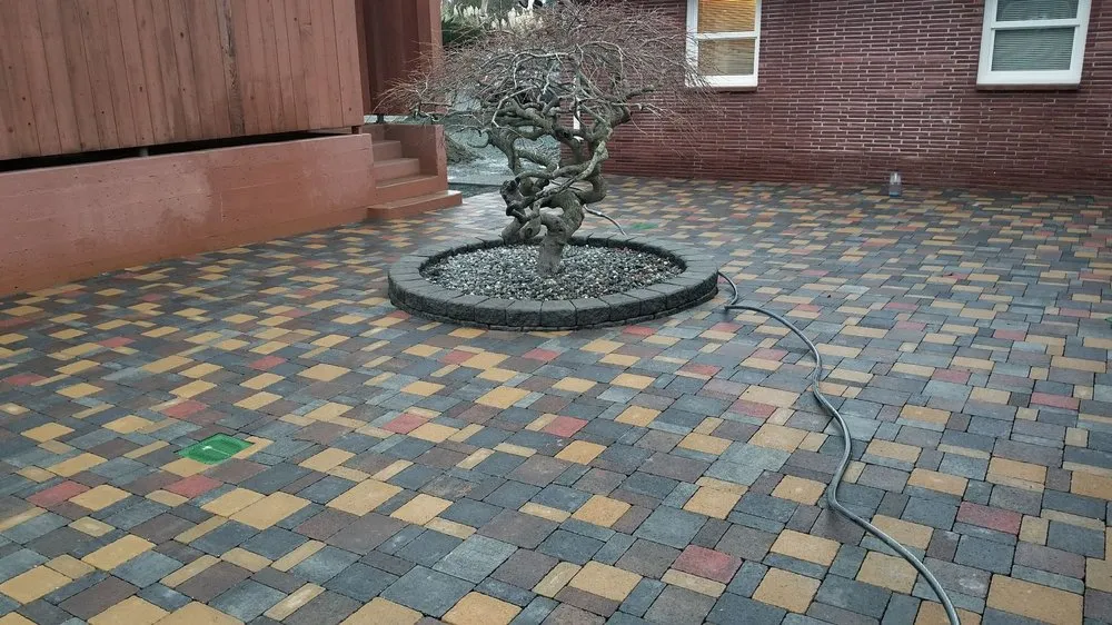 Top-rated yard cleanup service for residential properties in Burlington, WA by New Lawn Care & Landscape